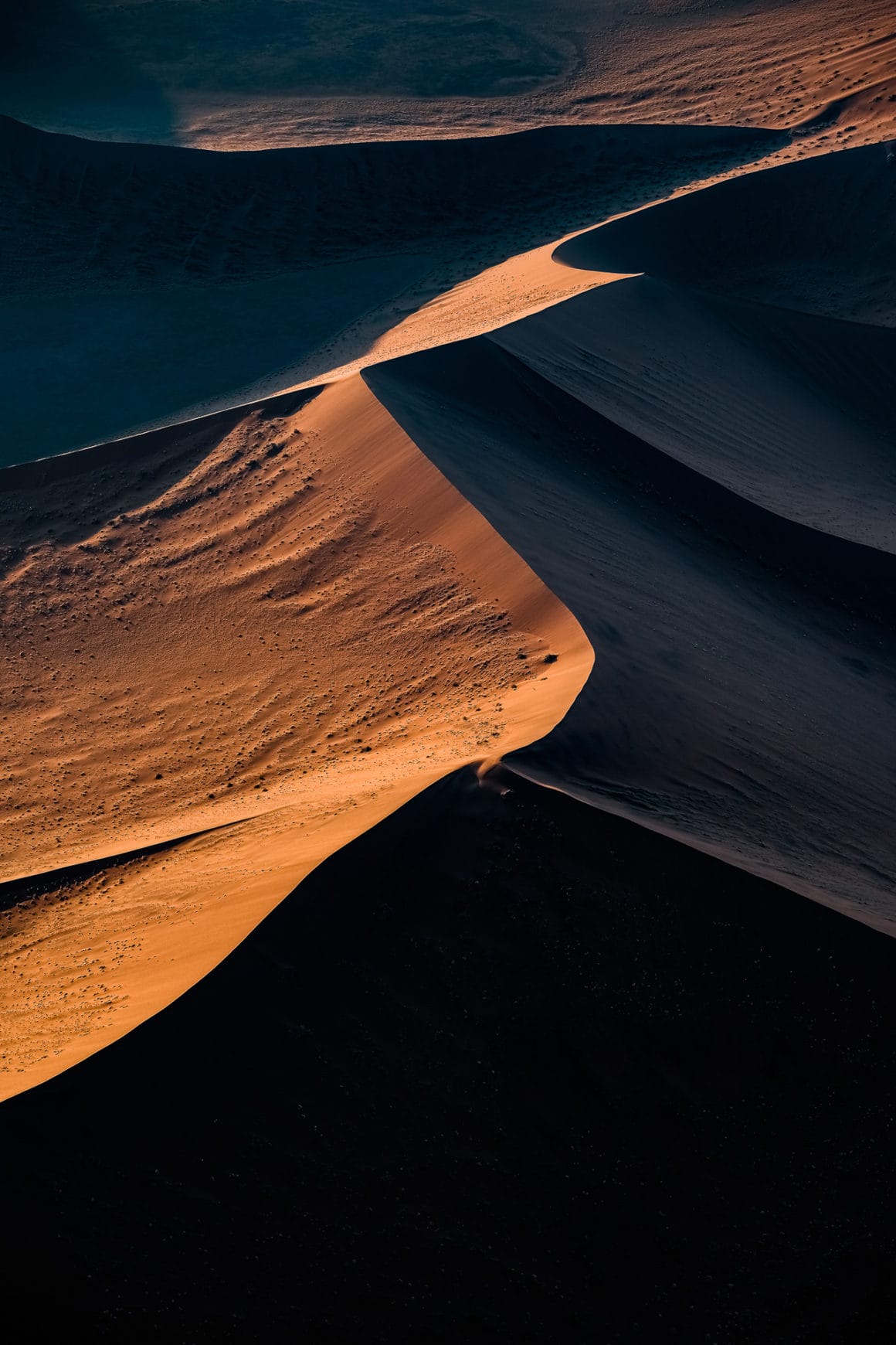 Dunes de sable de Namibierefletant une ligne éclairée par le soleil couchant et noircie par l'ombre de la nuit