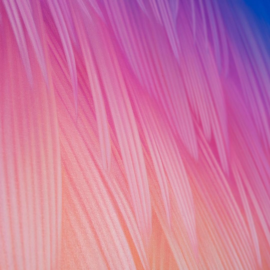 Oeuvre zoome d'Adèle représentant des plumes aux tons rose, violet et orange