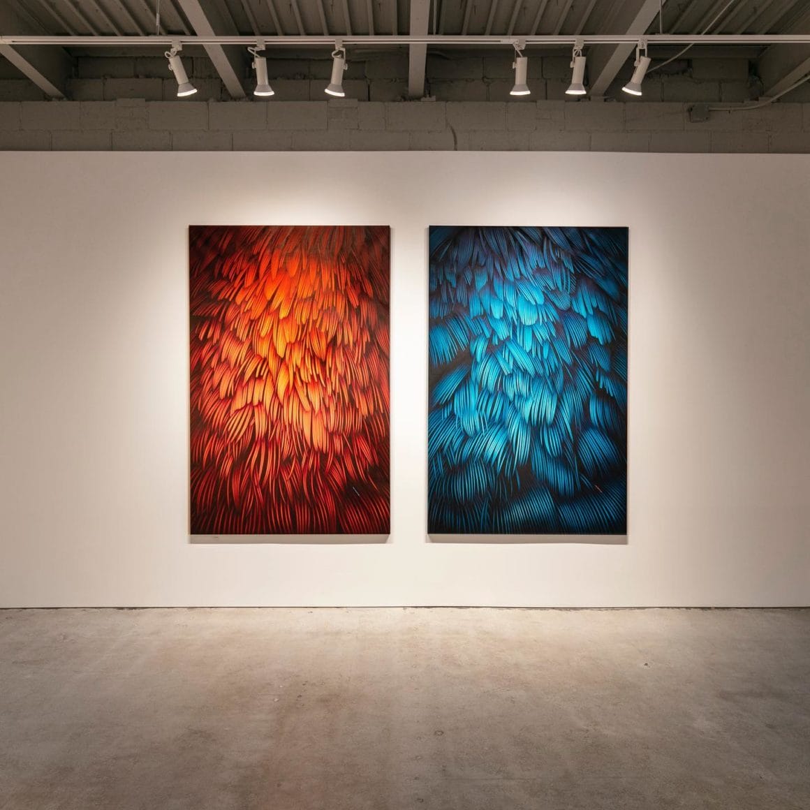 deux oeuvres d'Adèle exposées dans une galerie. L'une représente des plumes oranges et l'autre des plumes bleues