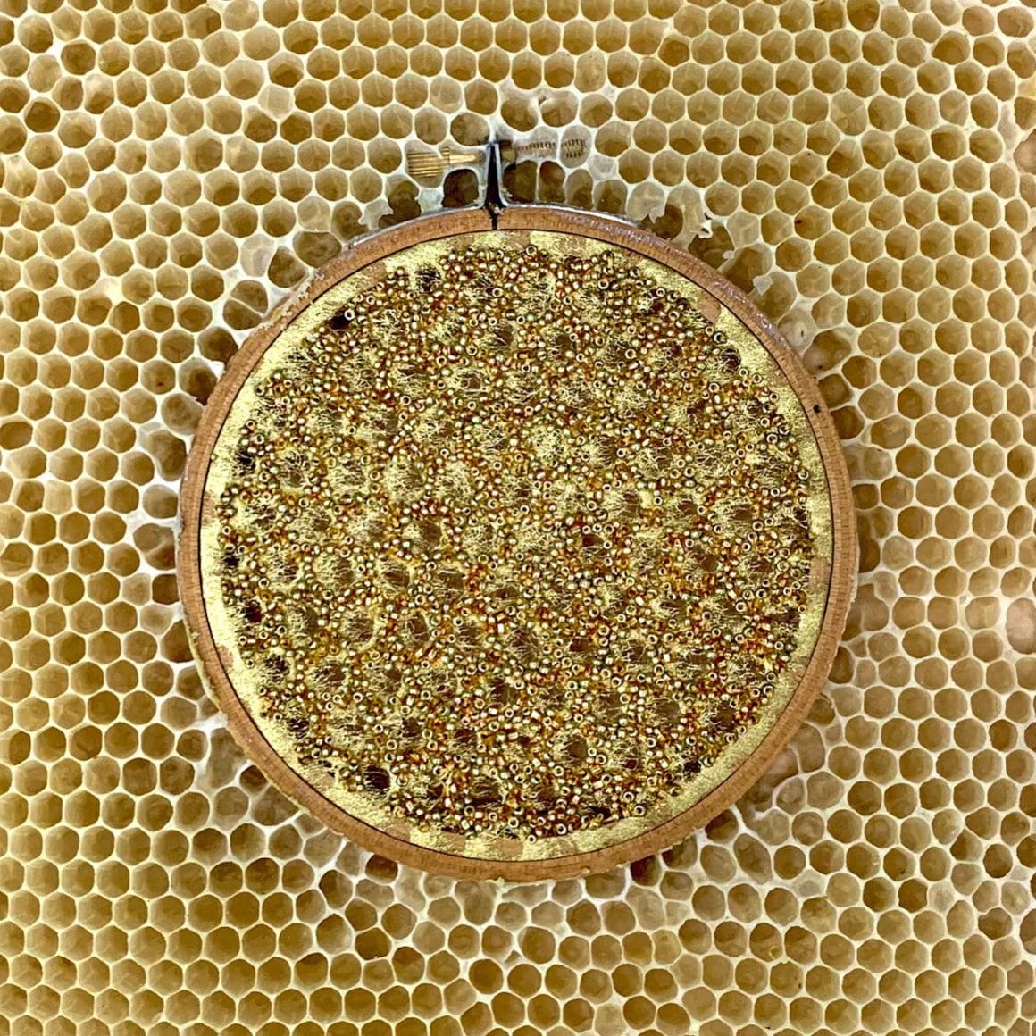 Broderie représentant un motif jaune et avec des perles cuivrées, disposée dans une ruche