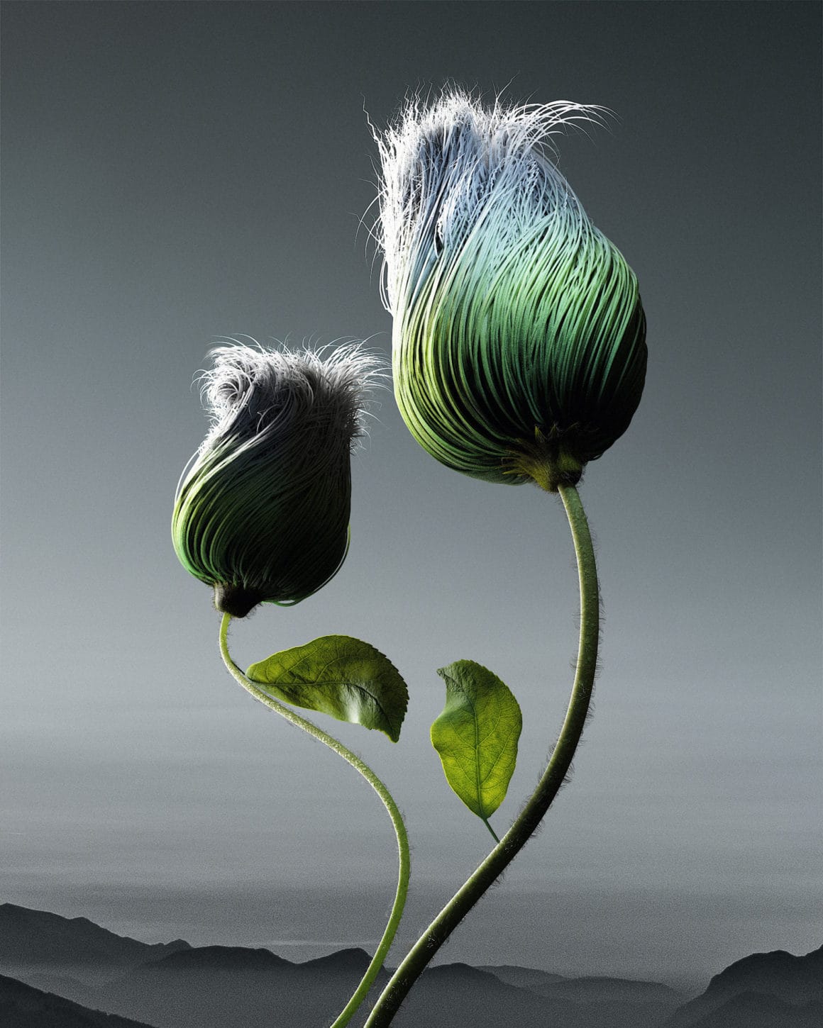 Ondrej Zunka - The fleur collection - Pilosus torquent