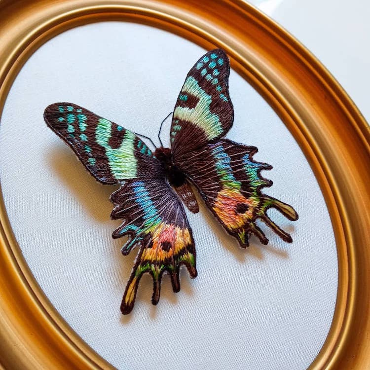 Broderie de Megan Zaniewski, un papillon aux ailes en relief sur une toile ovale.
