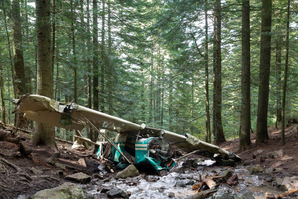 avion écrasé dans une forêt, abandonné